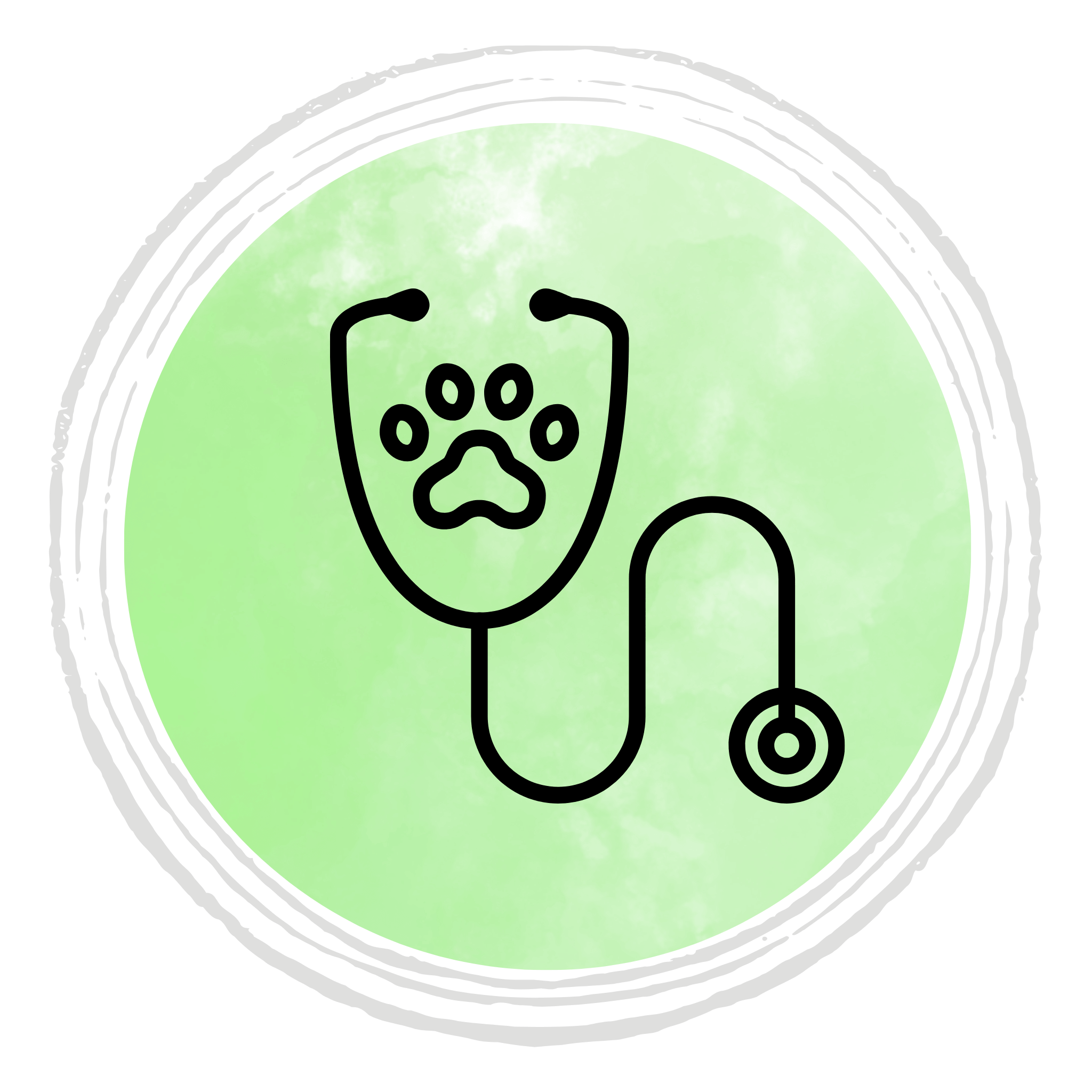 pet medical icon